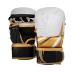 Sparring Gloves