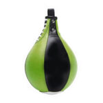 Speed Bags