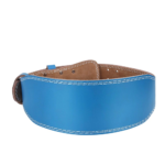 Gym Belts