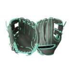 BaseBall Gloves