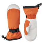 Ski Gloves